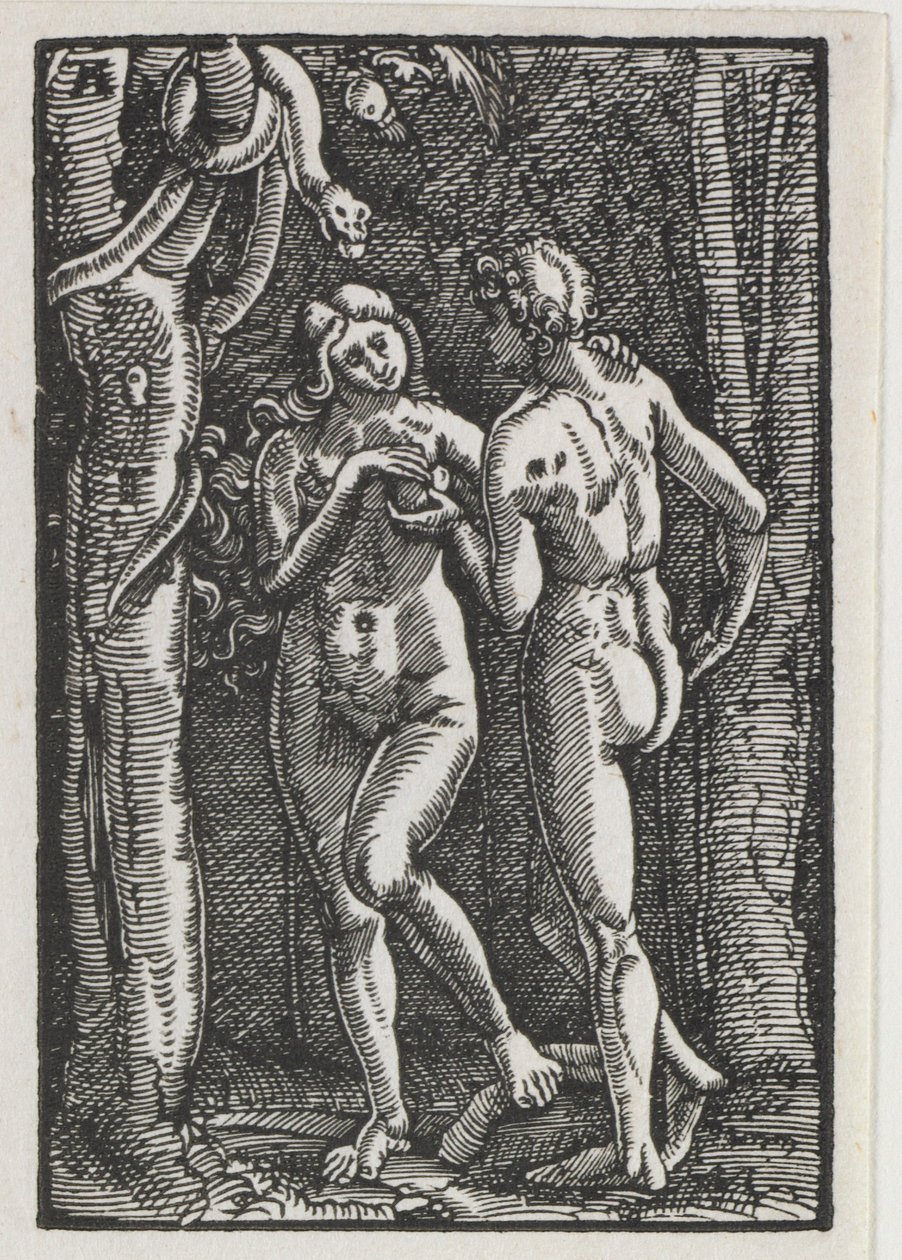 Az ember bukása és megváltása: Ádám és Éva megeszik a tiltott gyümölcsöt, c. 1513. alkotó: Albrecht Altdorfer