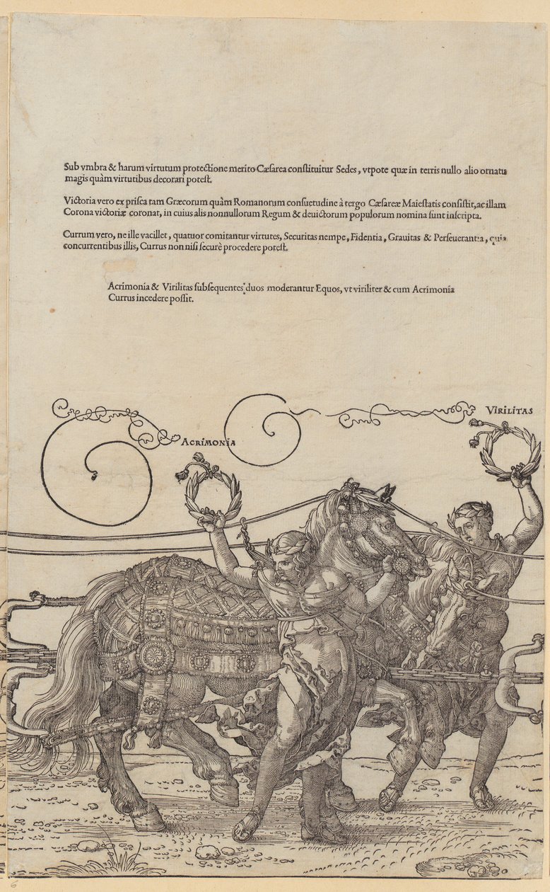 Acrimonia, „A nagy diadalszekér” sorozat 6. lapja alkotó: Albrecht Dürer