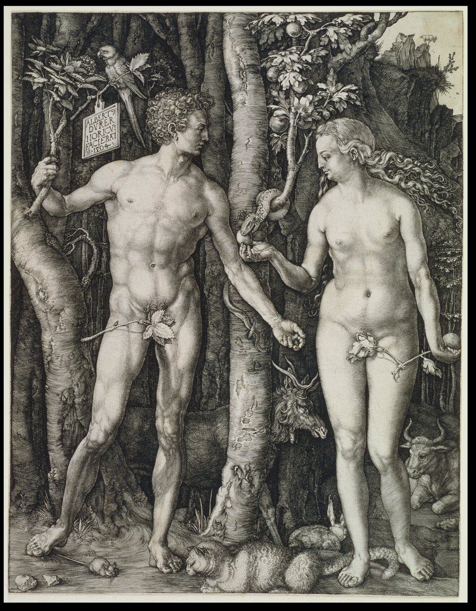 Ádám és Éva (Az ember bukása) alkotó: Albrecht Dürer