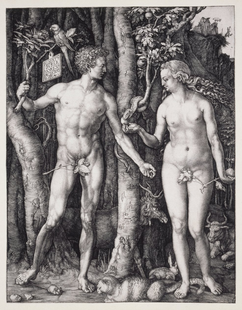 Ádám és Éva alkotó: Albrecht Dürer