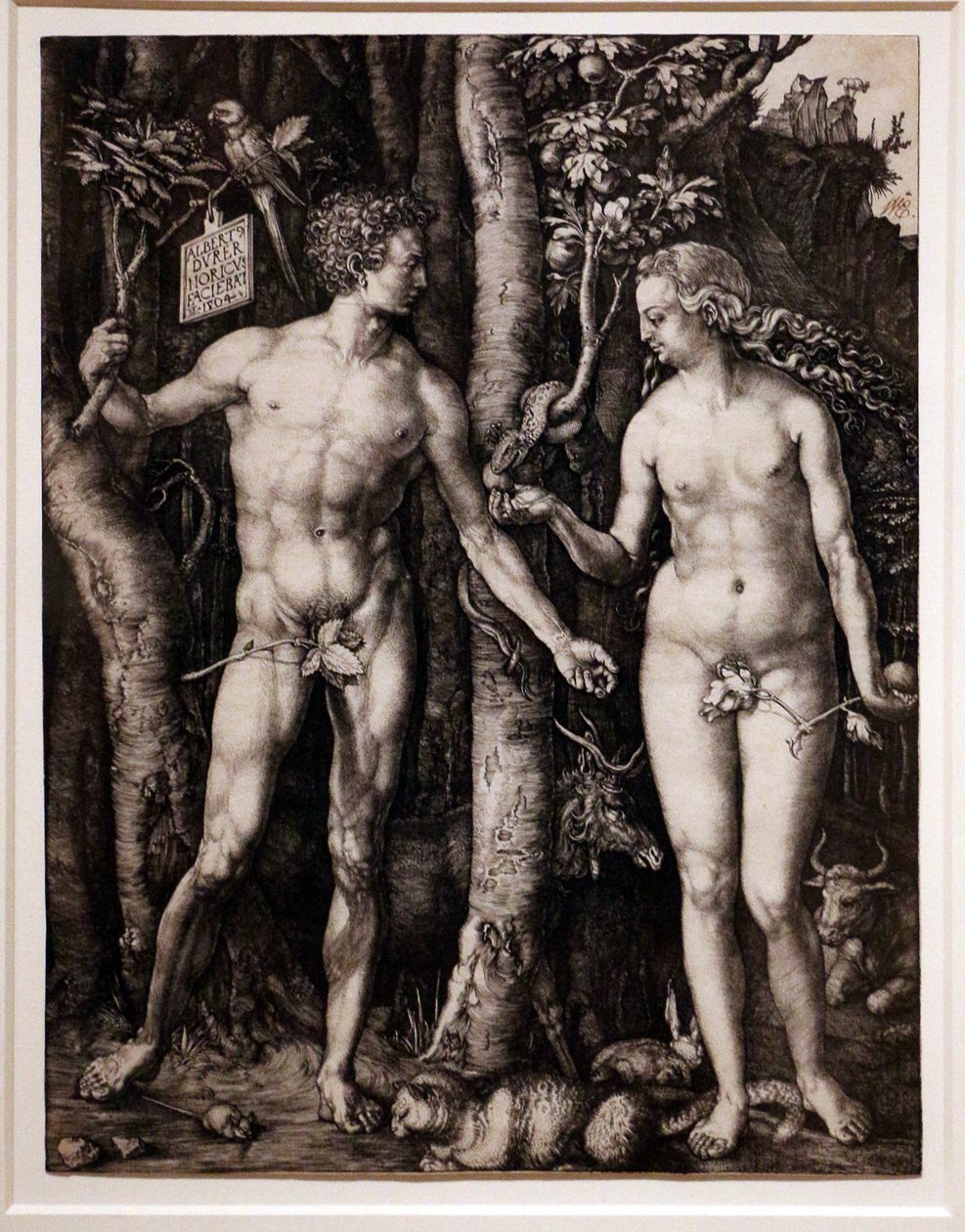 Ádám és Éva alkotó: Albrecht Dürer
