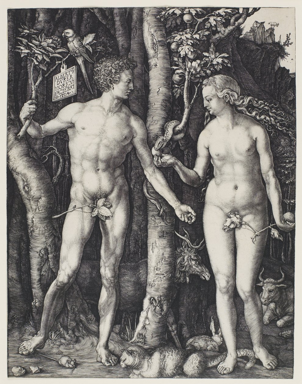 Ádám és Éva alkotó: Albrecht Dürer