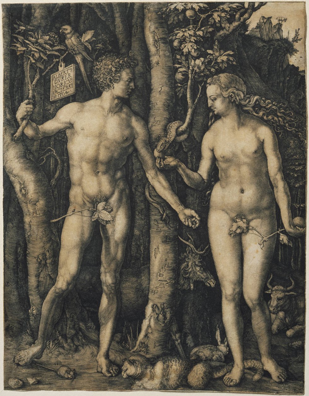 Ádám és Éva alkotó: Albrecht Dürer