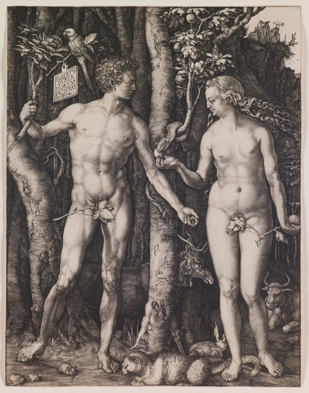 Ádám és Éva alkotó: Albrecht Dürer