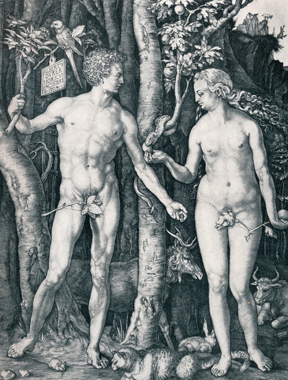 Ádám és Éva, 1504 1906 alkotó: Albrecht Dürer