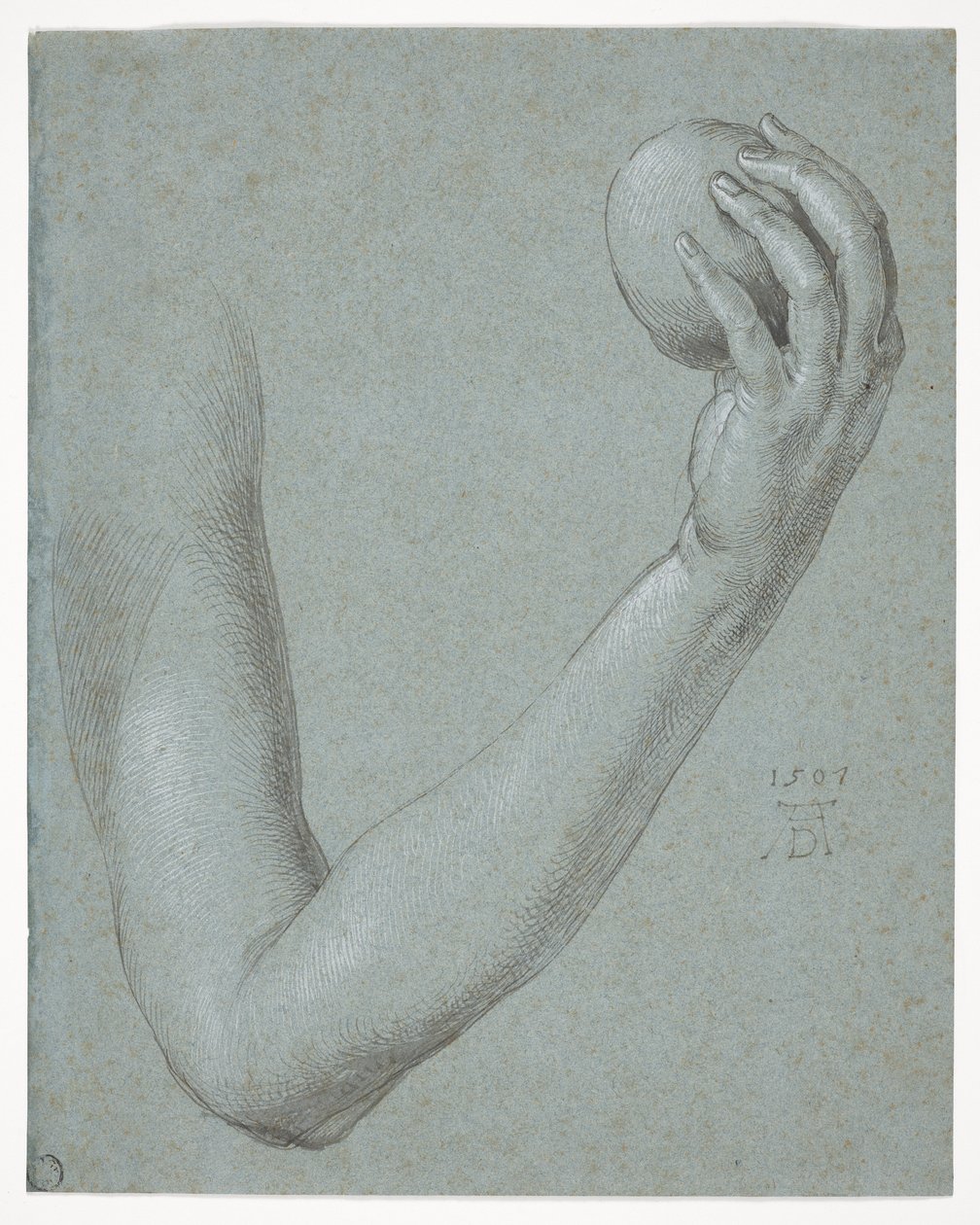 Éva karja alkotó: Albrecht Dürer