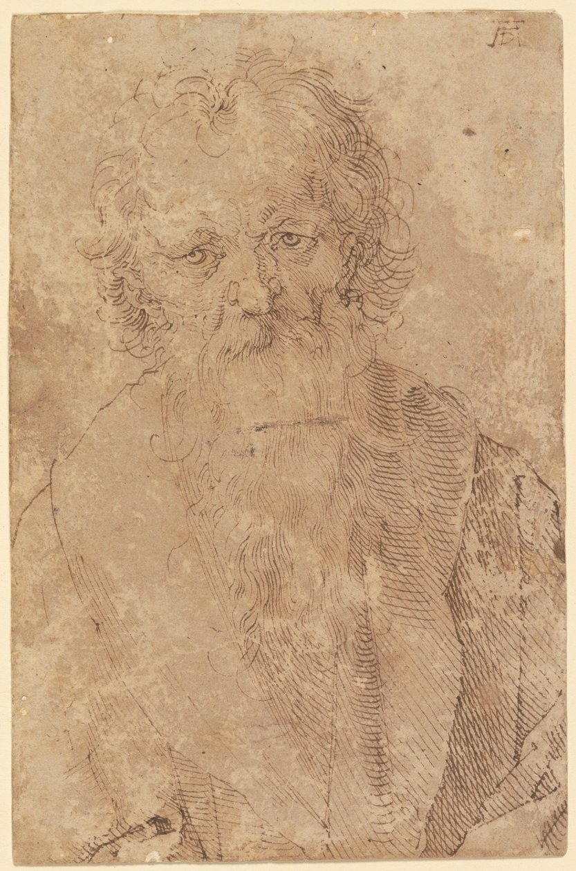 Szakállas öregember alkotó: Albrecht Dürer