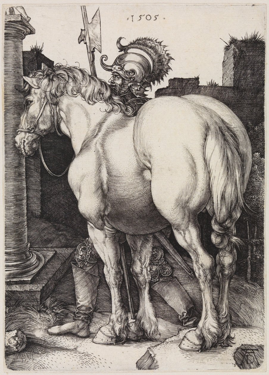 A nagy ló alkotó: Albrecht Dürer