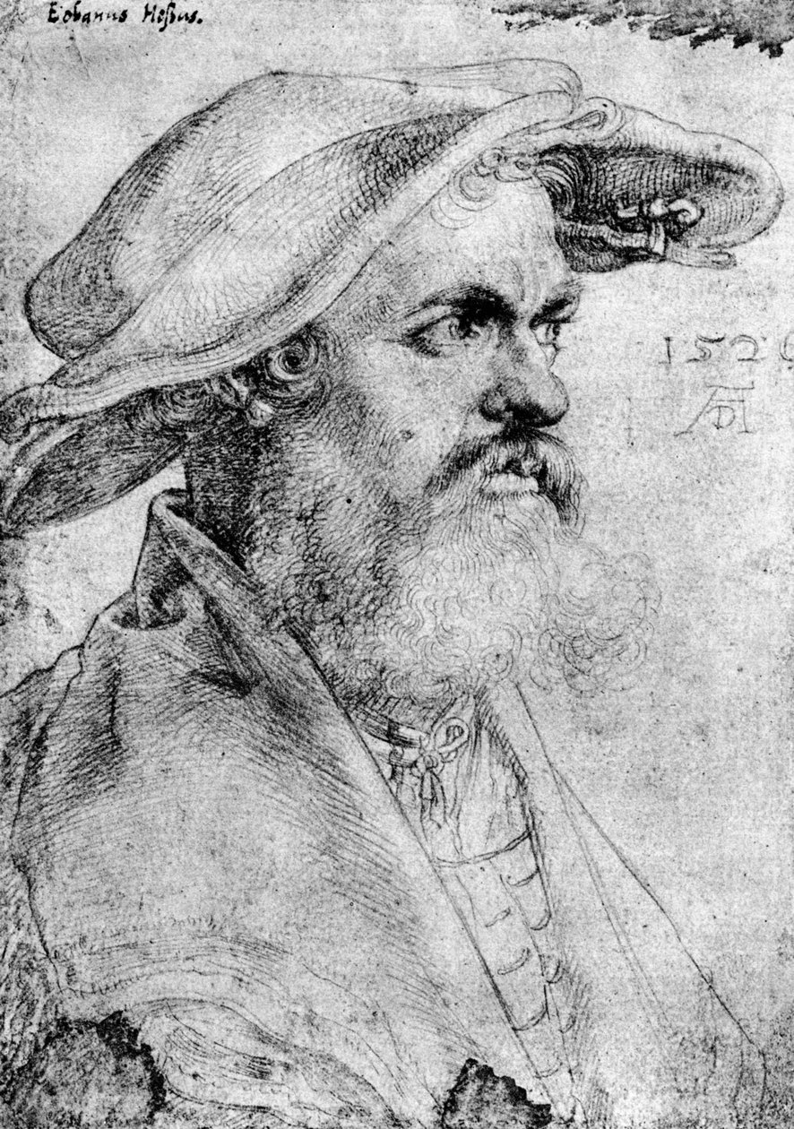 Eobanus Hesse, 1526, 1936 alkotó: Albrecht Dürer