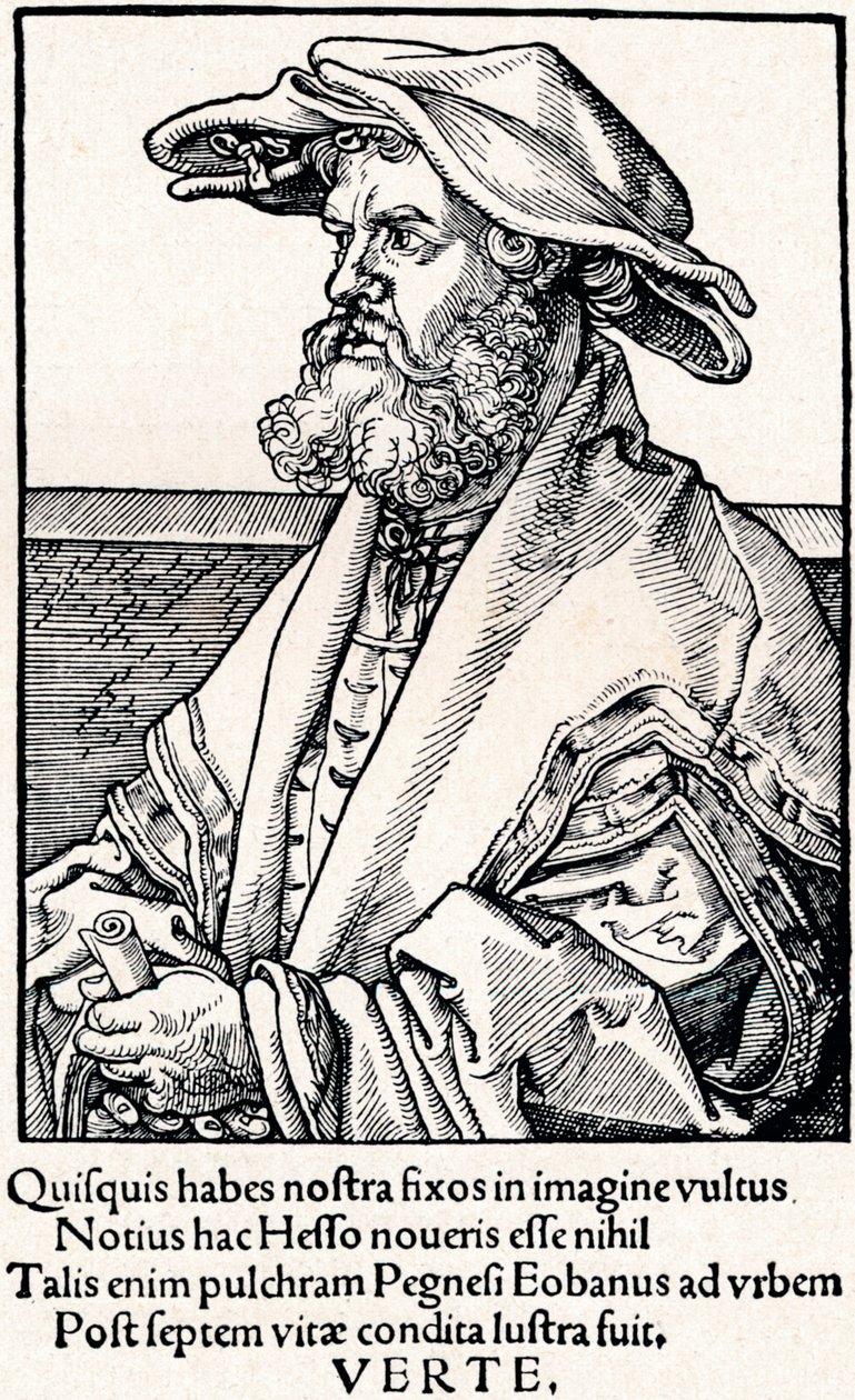 Eobanus Hesse, 1527 1906 alkotó: Albrecht Dürer
