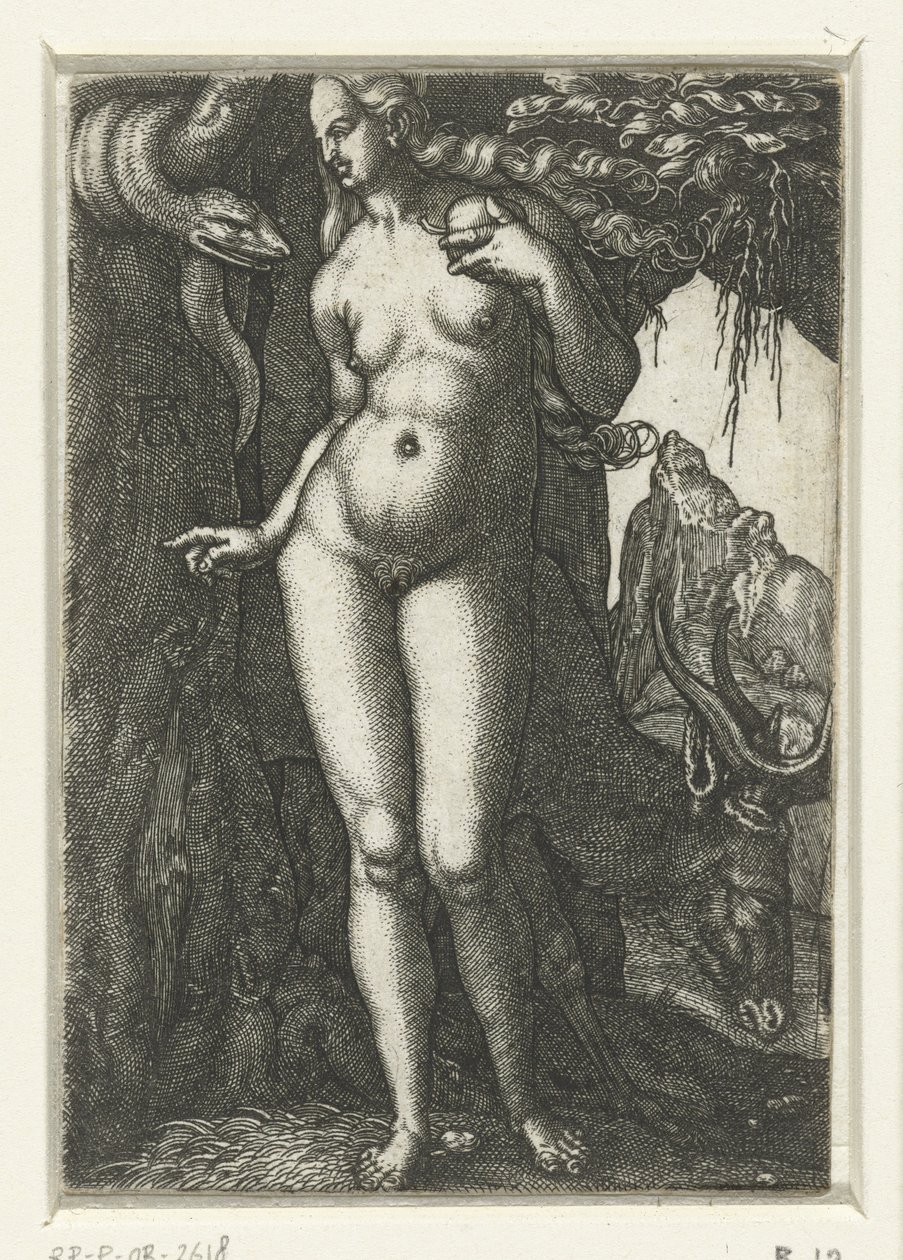 Eva alkotó: Albrecht Dürer