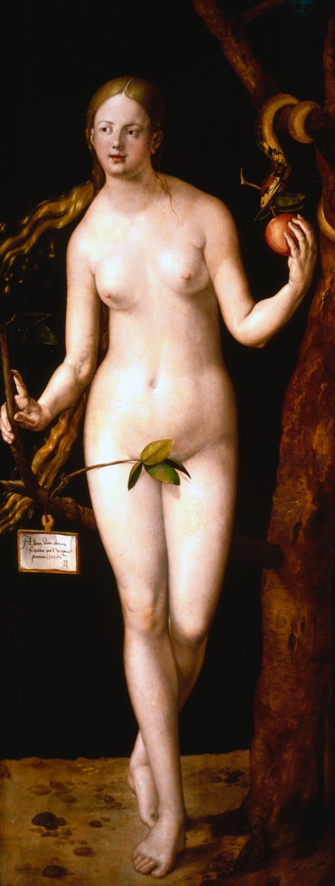 Éva, 1507 alkotó: Albrecht Dürer