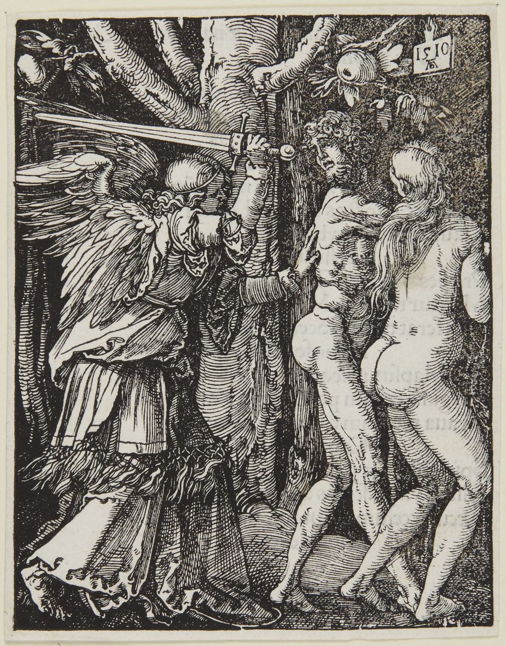 Kiűzetés a Paradicsomból alkotó: Albrecht Dürer