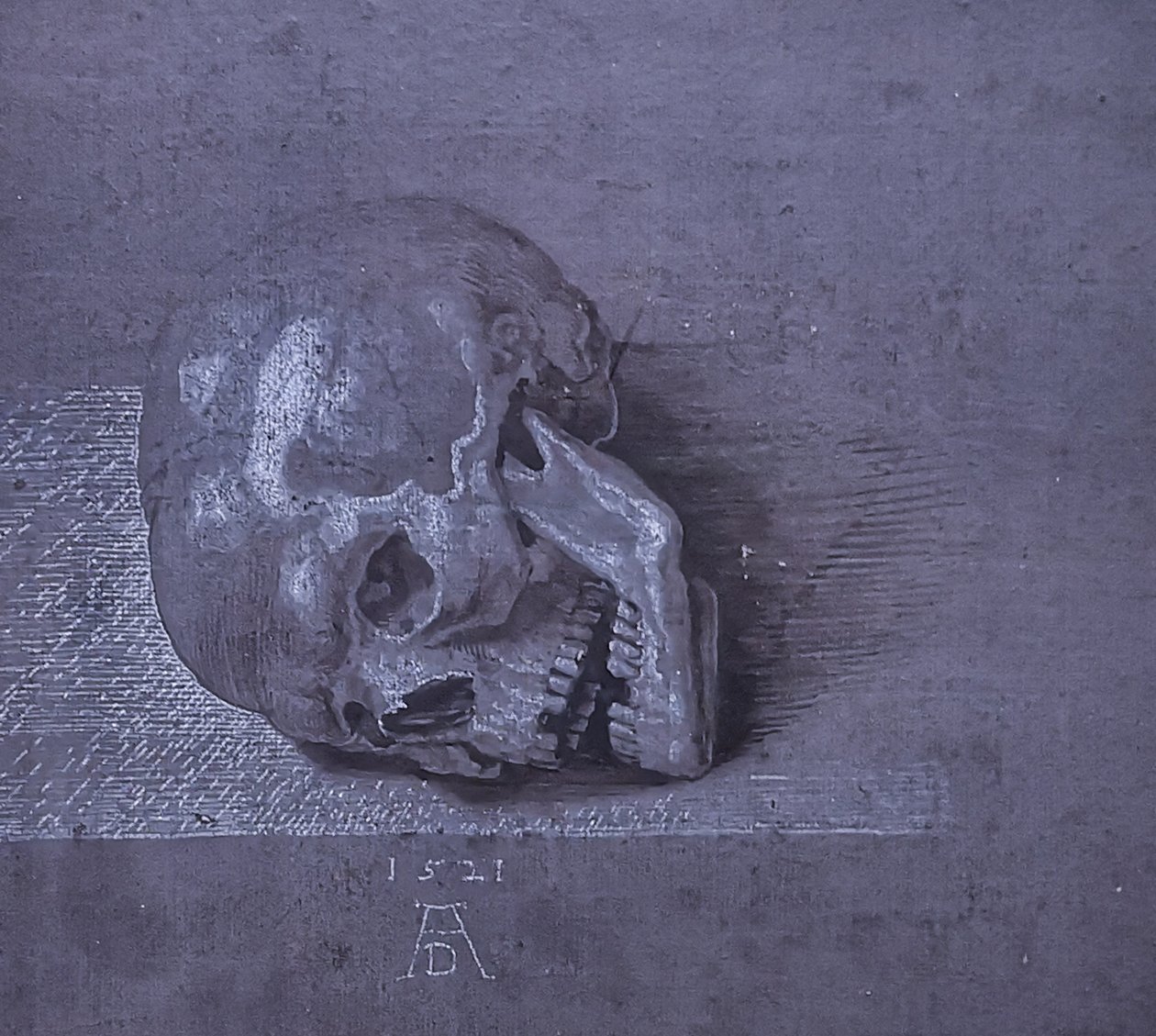 Németül: Totenschädel. alkotó: Albrecht Dürer