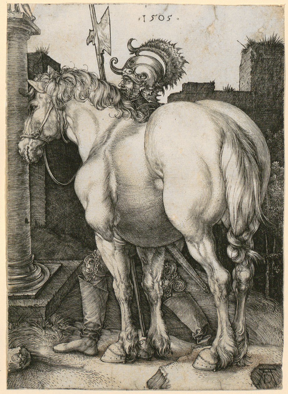 A nagy ló alkotó: Albrecht Dürer