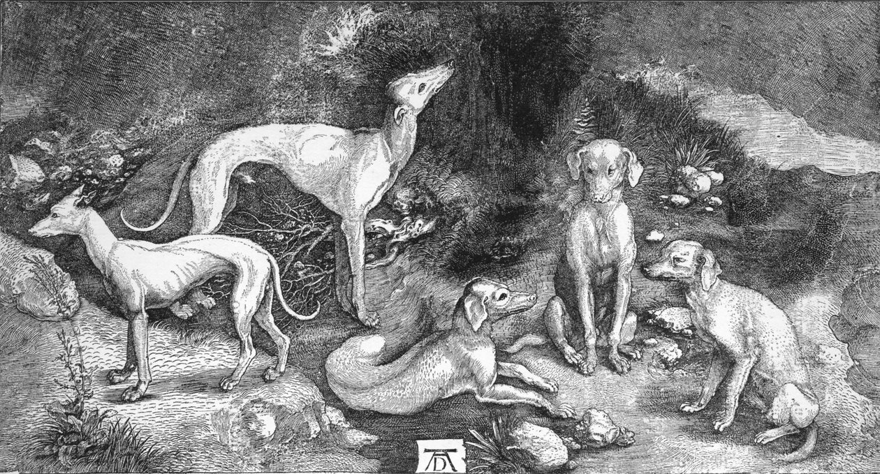 Kutyák csoportja. St. Eustace metszetéből, A. Durer, 1500, 1906 alkotó: Albrecht Dürer