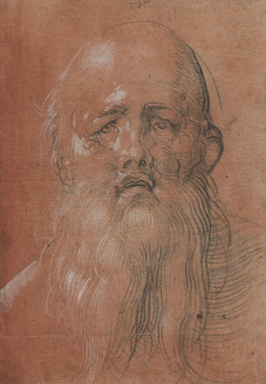 Szakállas férfi feje alkotó: Albrecht Dürer
