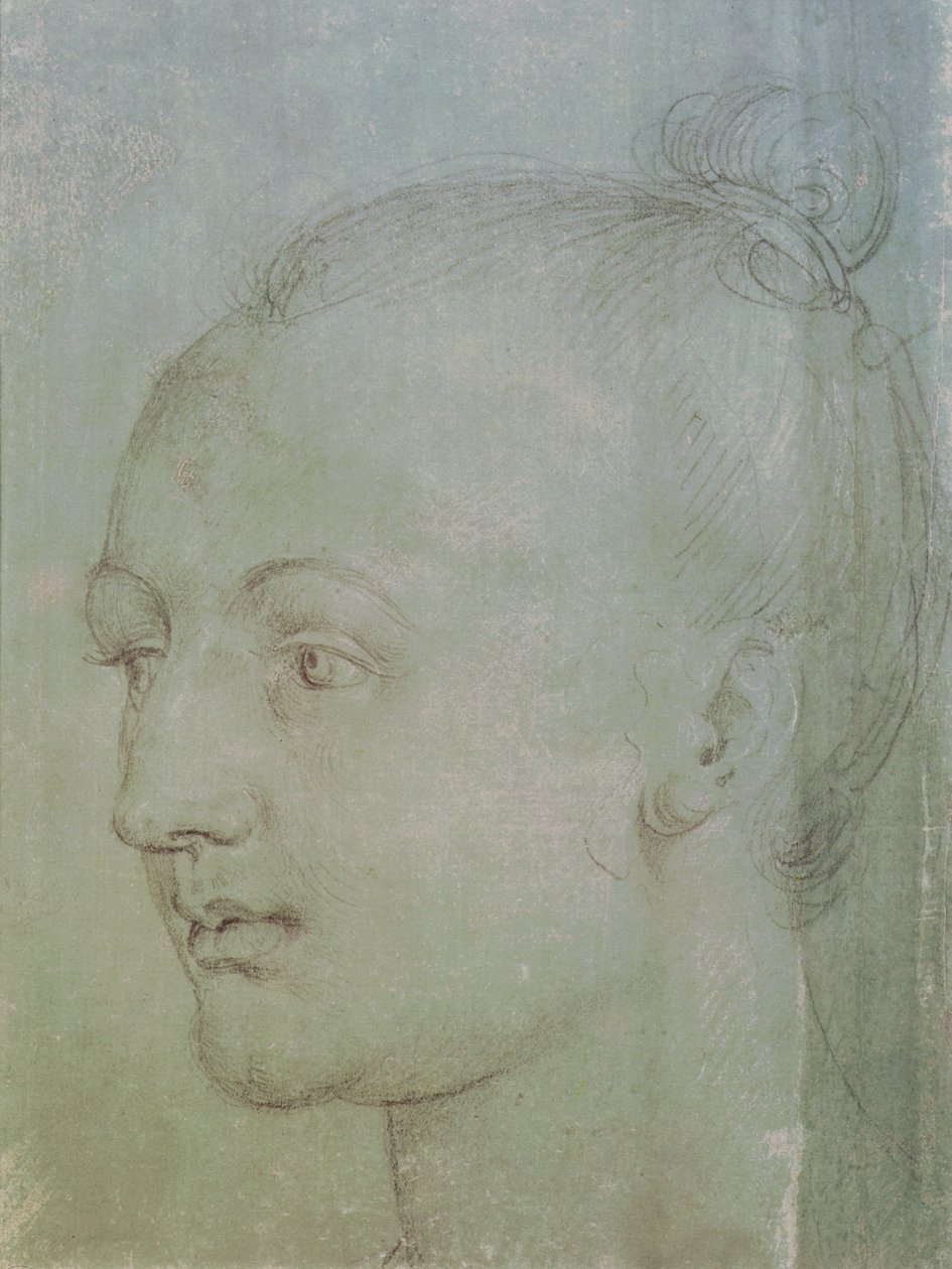 Fiatal nő feje (fekete kréta fehér krétával kiemelve, zöld papírra) alkotó: Albrecht Dürer