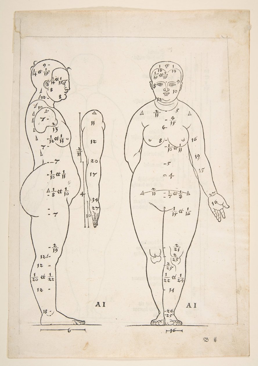 Illusztráció Dürer Négy könyvéből az emberi arányról, Nürnberg, 1528.n.d. alkotó: Albrecht Dürer