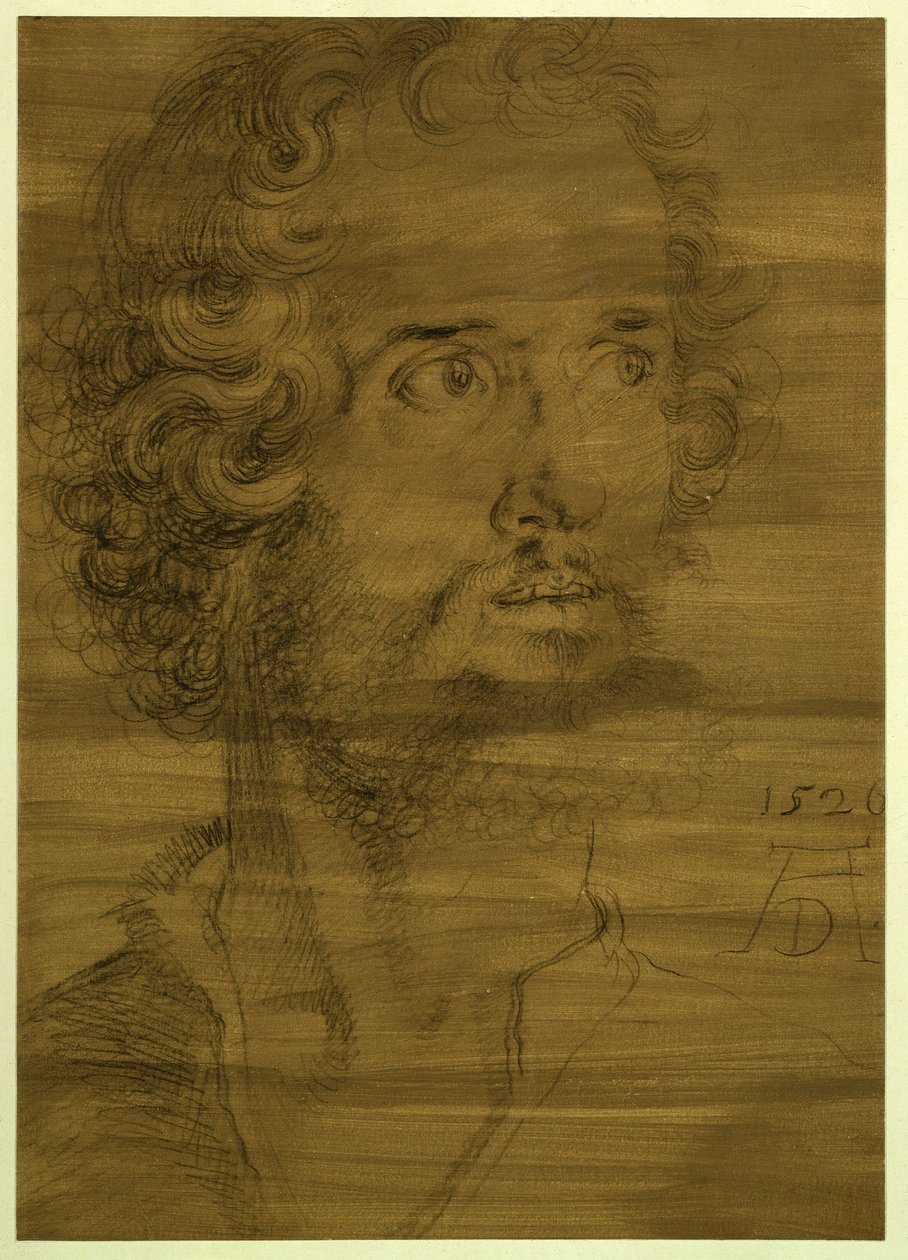 Márk evangélista feje alkotó: Albrecht Dürer