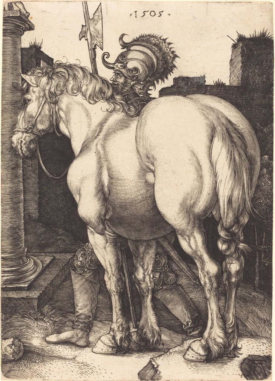 Nagy ló alkotó: Albrecht Dürer