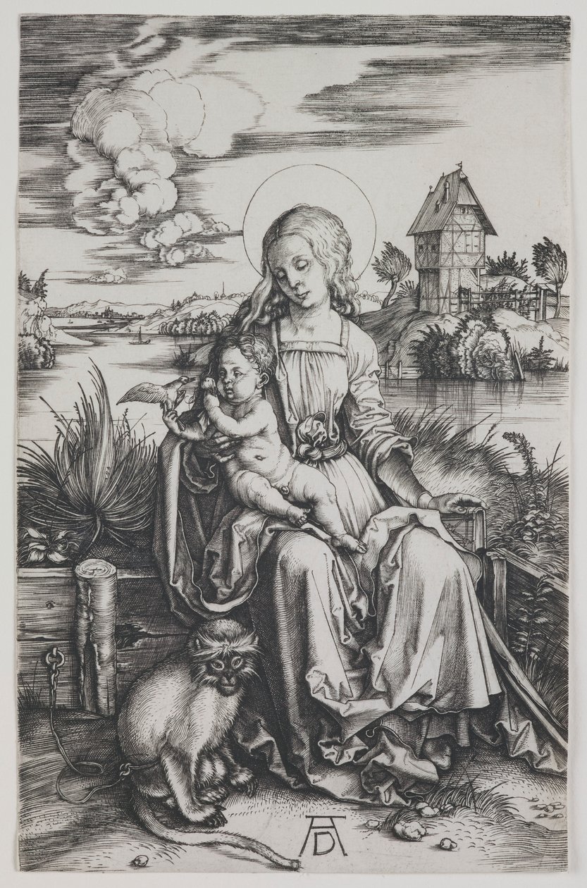 Madonna majommal alkotó: Albrecht Dürer