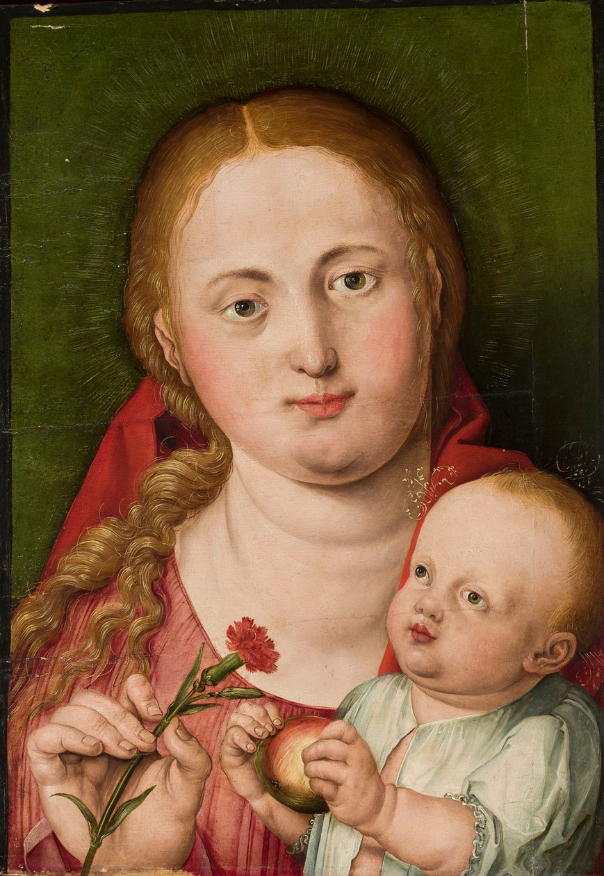 Madonna a Gyermekkel és egy szegfűvel alkotó: Albrecht Dürer