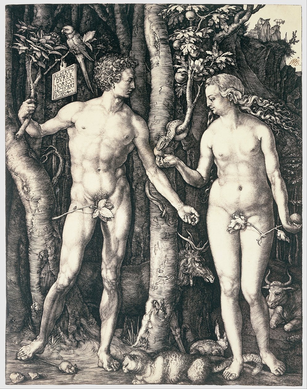 Eredendő bűn alkotó: Albrecht Dürer