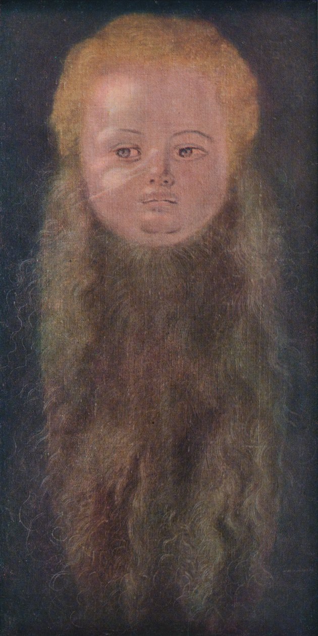 Hosszú szakállú fiú portréja, 1527, 1939 alkotó: Albrecht Dürer