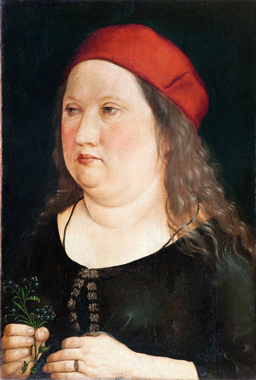Férfi portré, 1497 alkotó: Albrecht Dürer