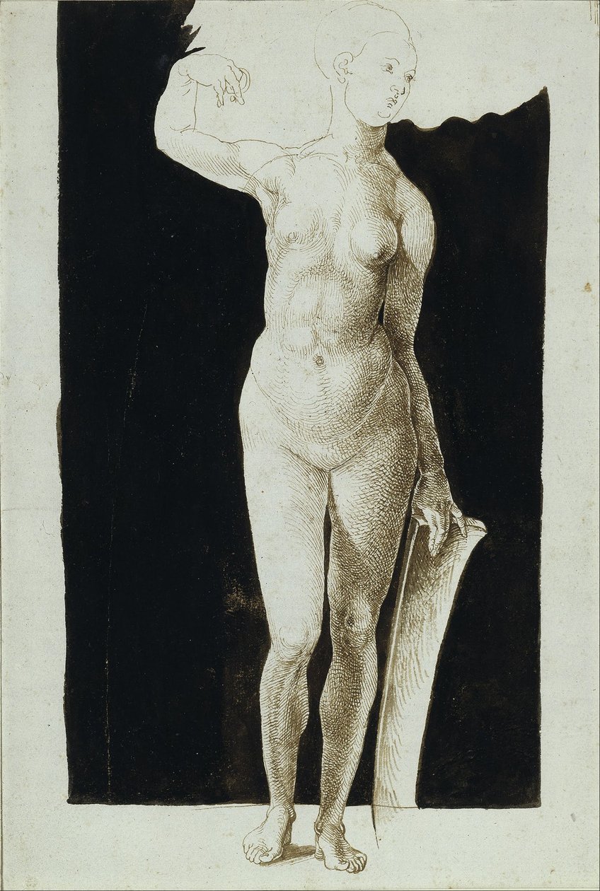 Proporcionális tanulmány női akt pajzzsal alkotó: Albrecht Dürer