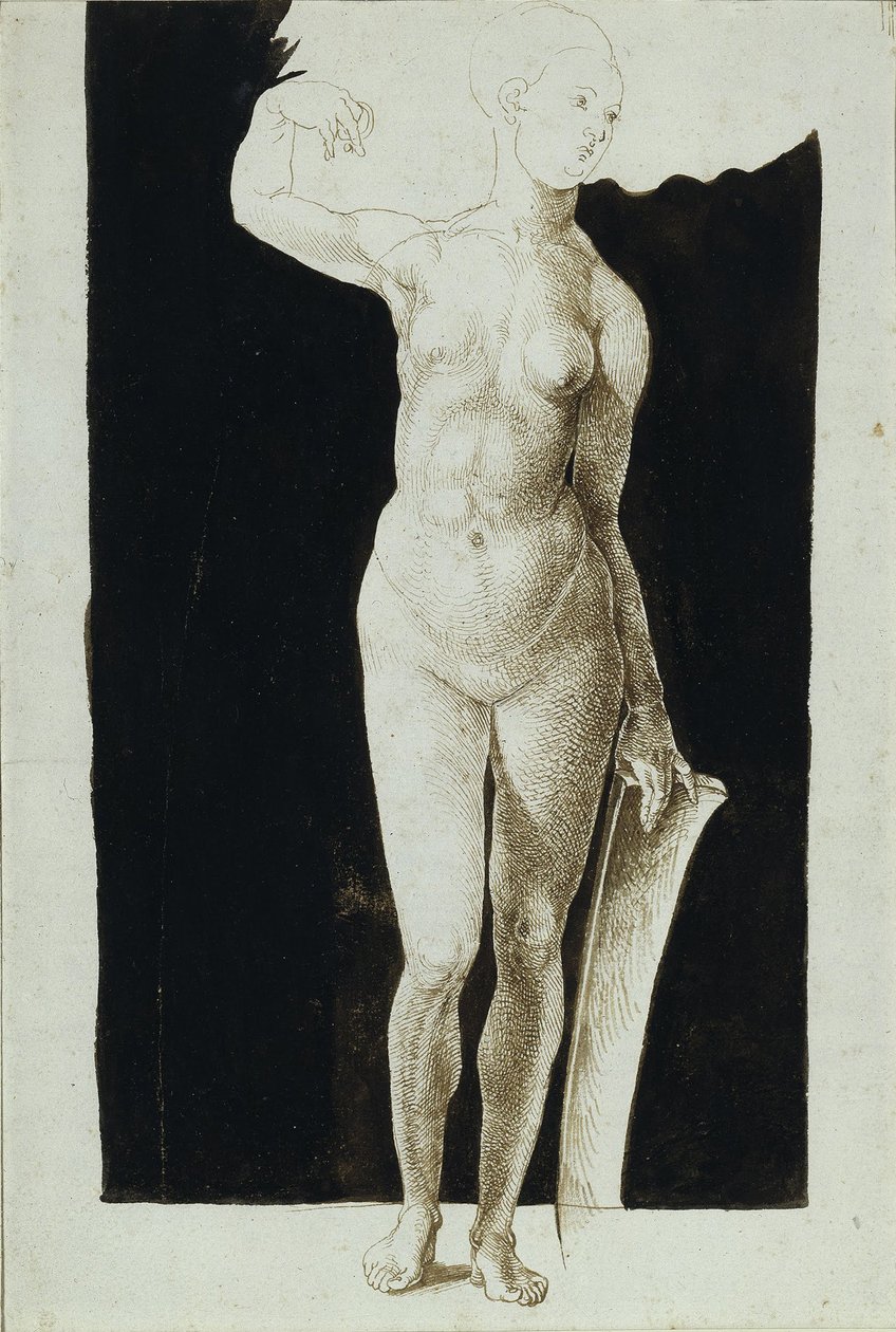 Pajzsos női akt arányvizsgálata, 1500 alkotó: Albrecht Dürer
