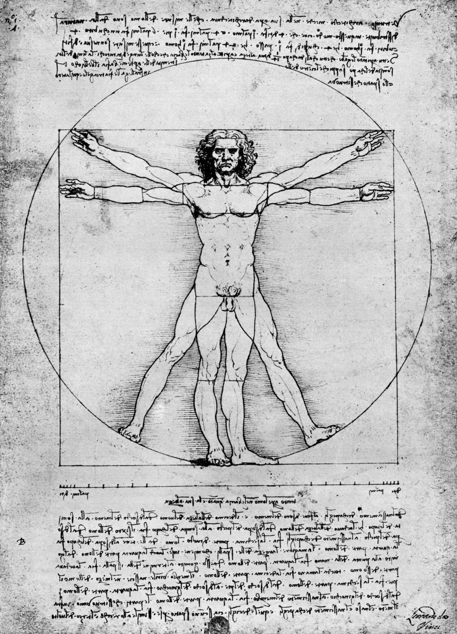 Az emberi alak arányai, c1492, 1936 alkotó: Albrecht Dürer