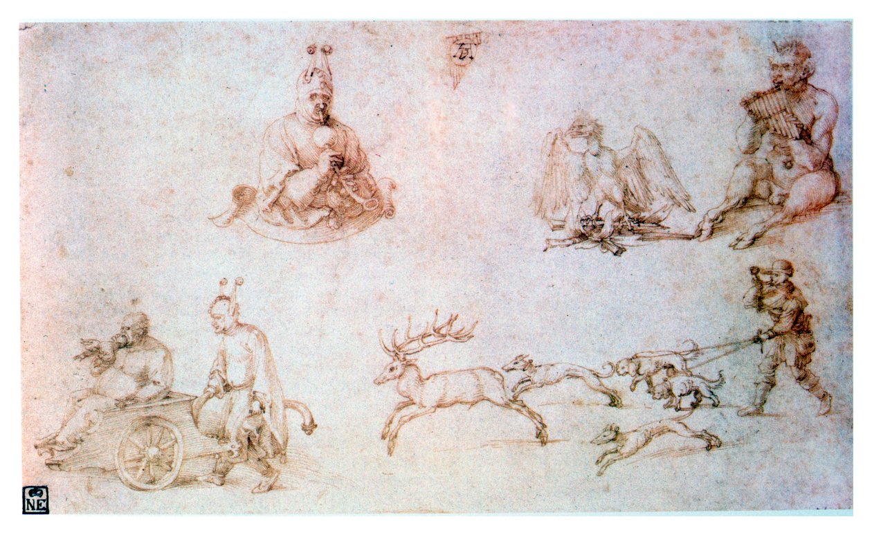 Vörös krétás tanulmány, 1500 c alkotó: Albrecht Dürer