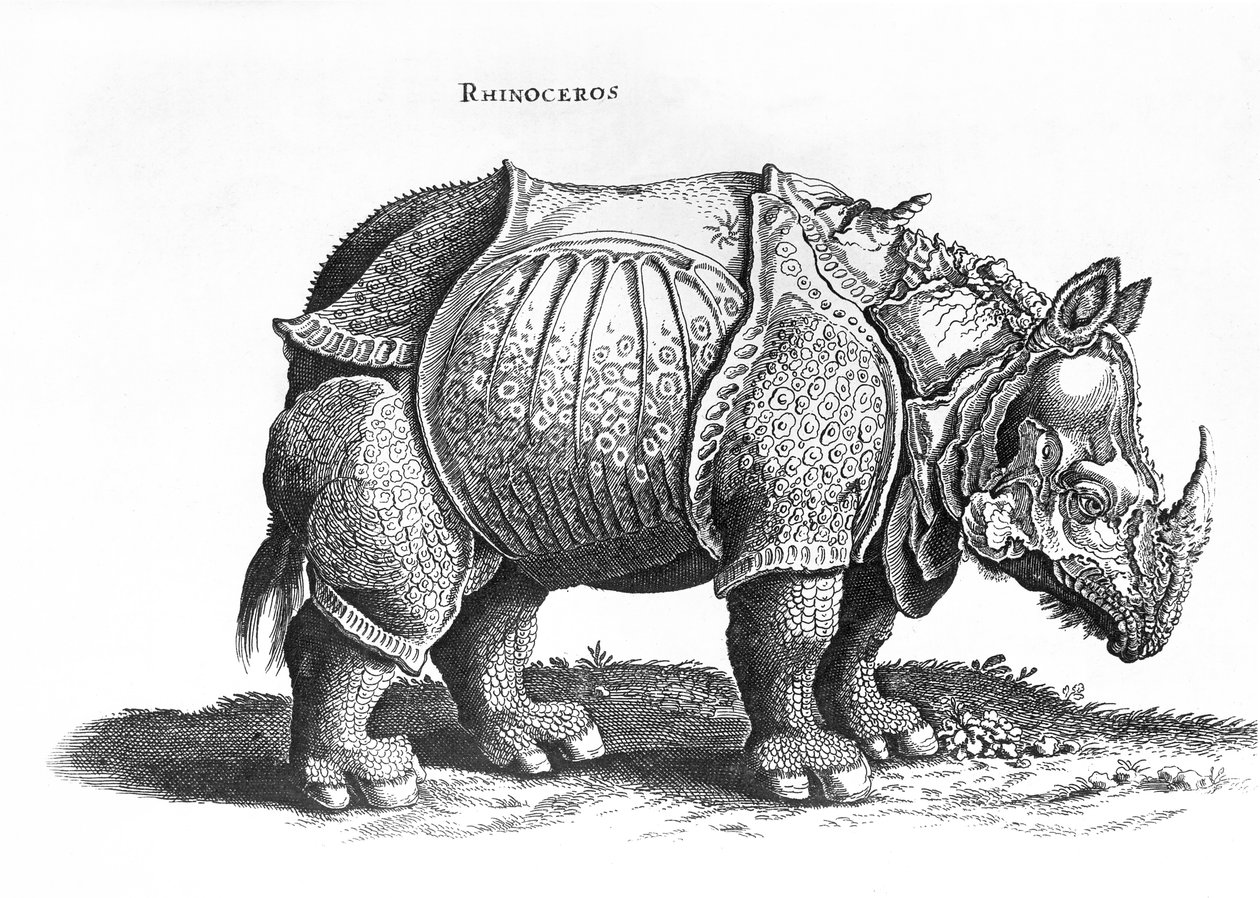 Rhinoceros, 76. sz. Conrad Gesner (1516-65) „Historia Animalium” című művéből, 1815 júliusában megjelent alkotó: Albrecht Dürer