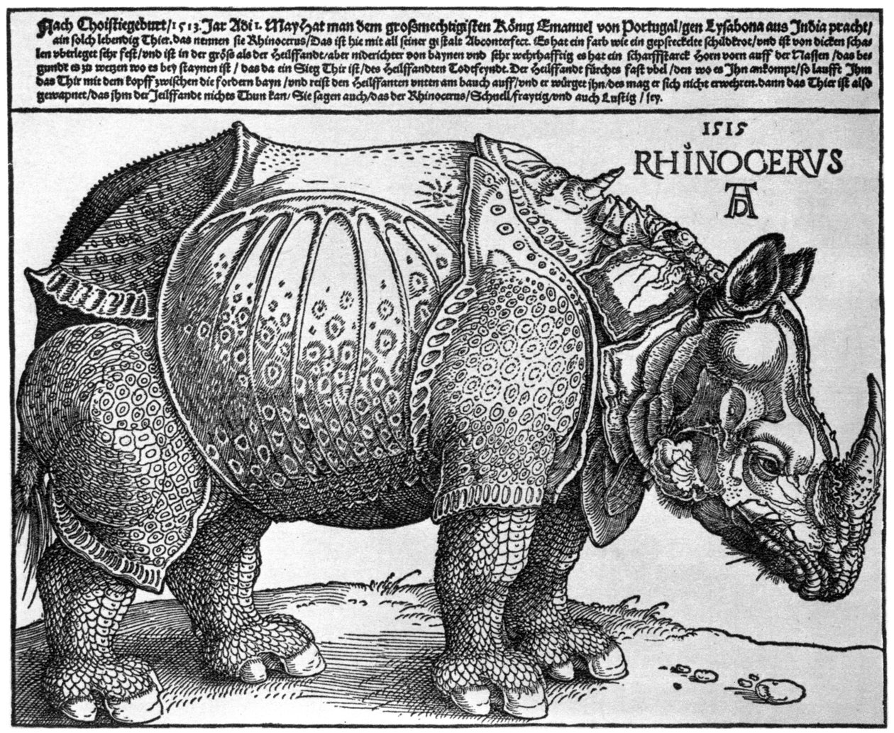 Orrszarvú, I. Maximilianusnak a lisszaboni király által adott lenyomata, 1515, 1936 alkotó: Albrecht Dürer