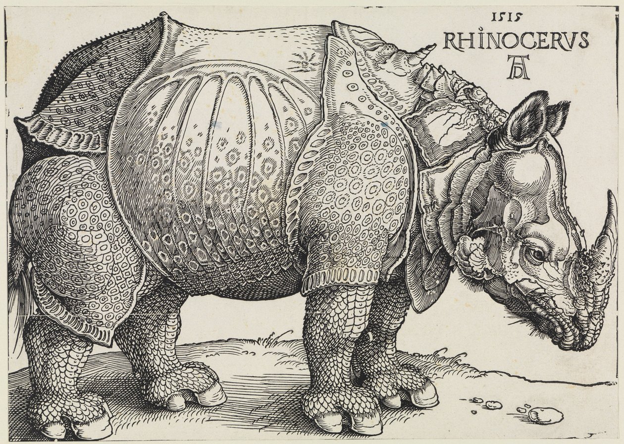 Rhinocerus (Az orrszarvú) alkotó: Albrecht Dürer