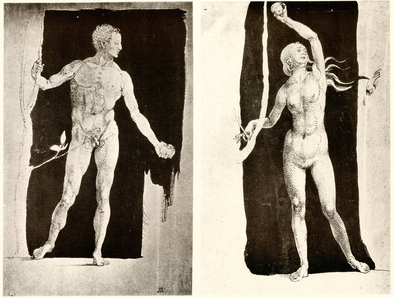 Tanulmányok Ádámról és Éváról alkotó: Albrecht Dürer