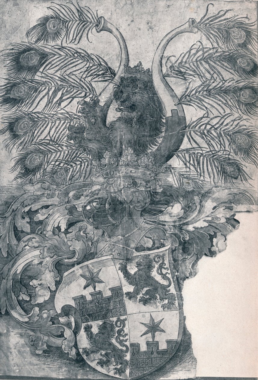 Wilhelm és Wolfgang Roggendorff címere, 1520 1906 alkotó: Albrecht Dürer