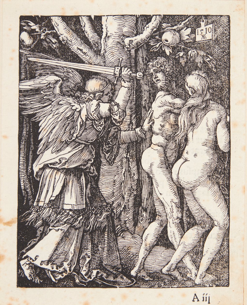 A paradicsomból való kiűzés alkotó: Albrecht Dürer
