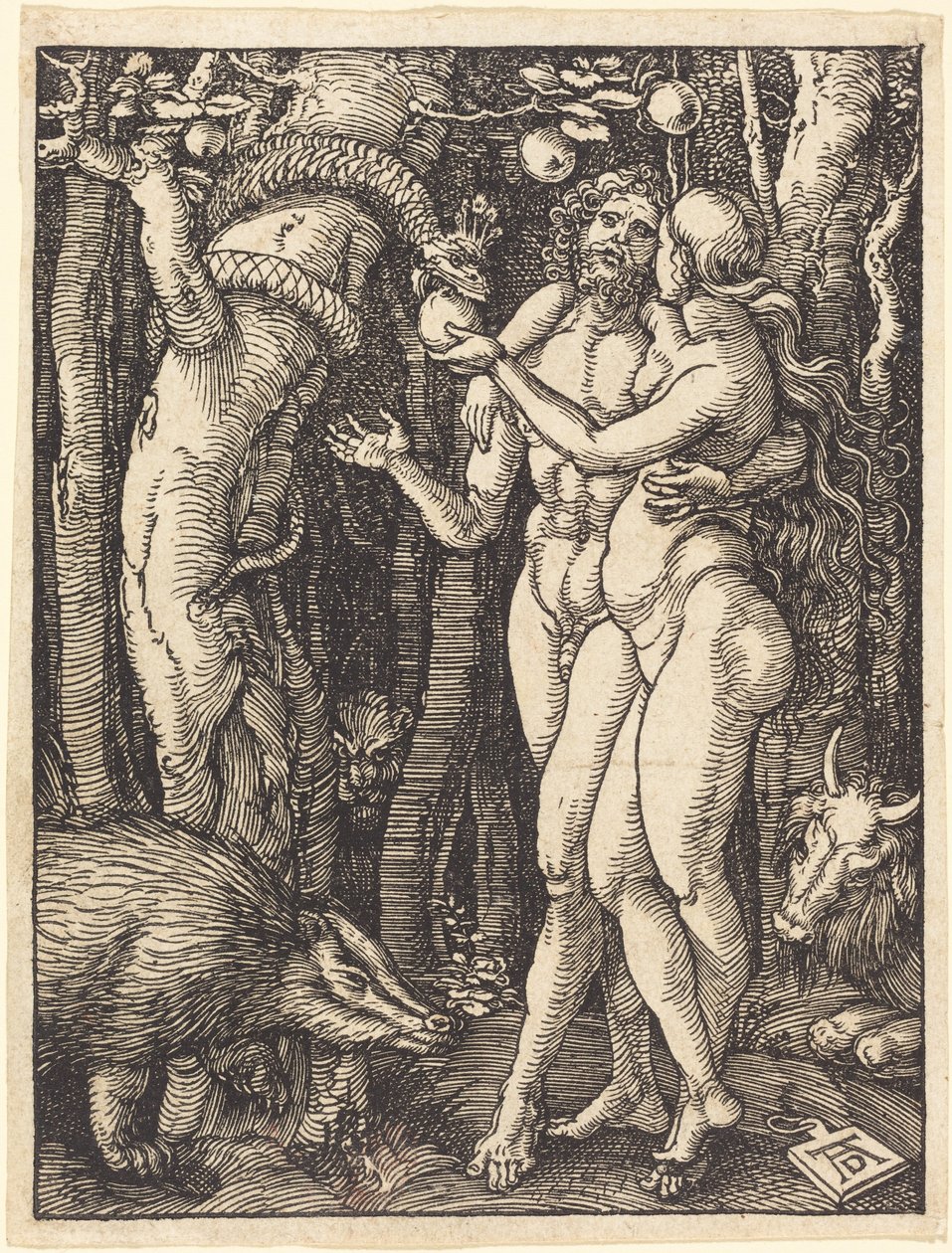 Az ember bűnbeesése alkotó: Albrecht Dürer
