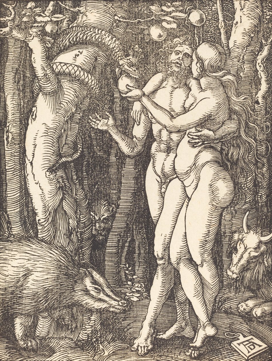 Az ember bukása, valószínűleg c. 15091510. alkotó: Albrecht Dürer
