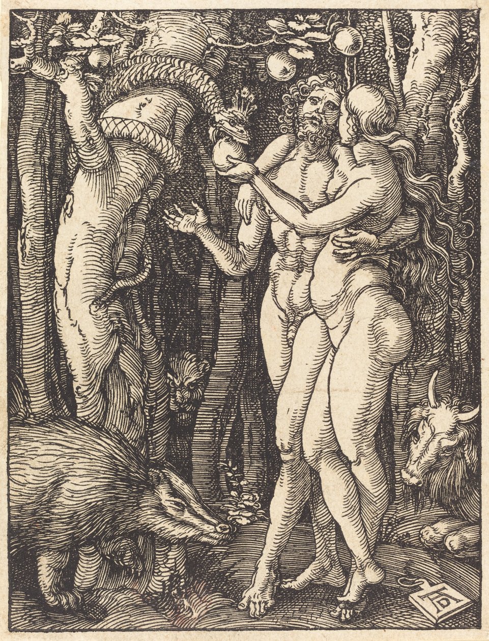Az ember bukása, valószínűleg c. 15091510. alkotó: Albrecht Dürer