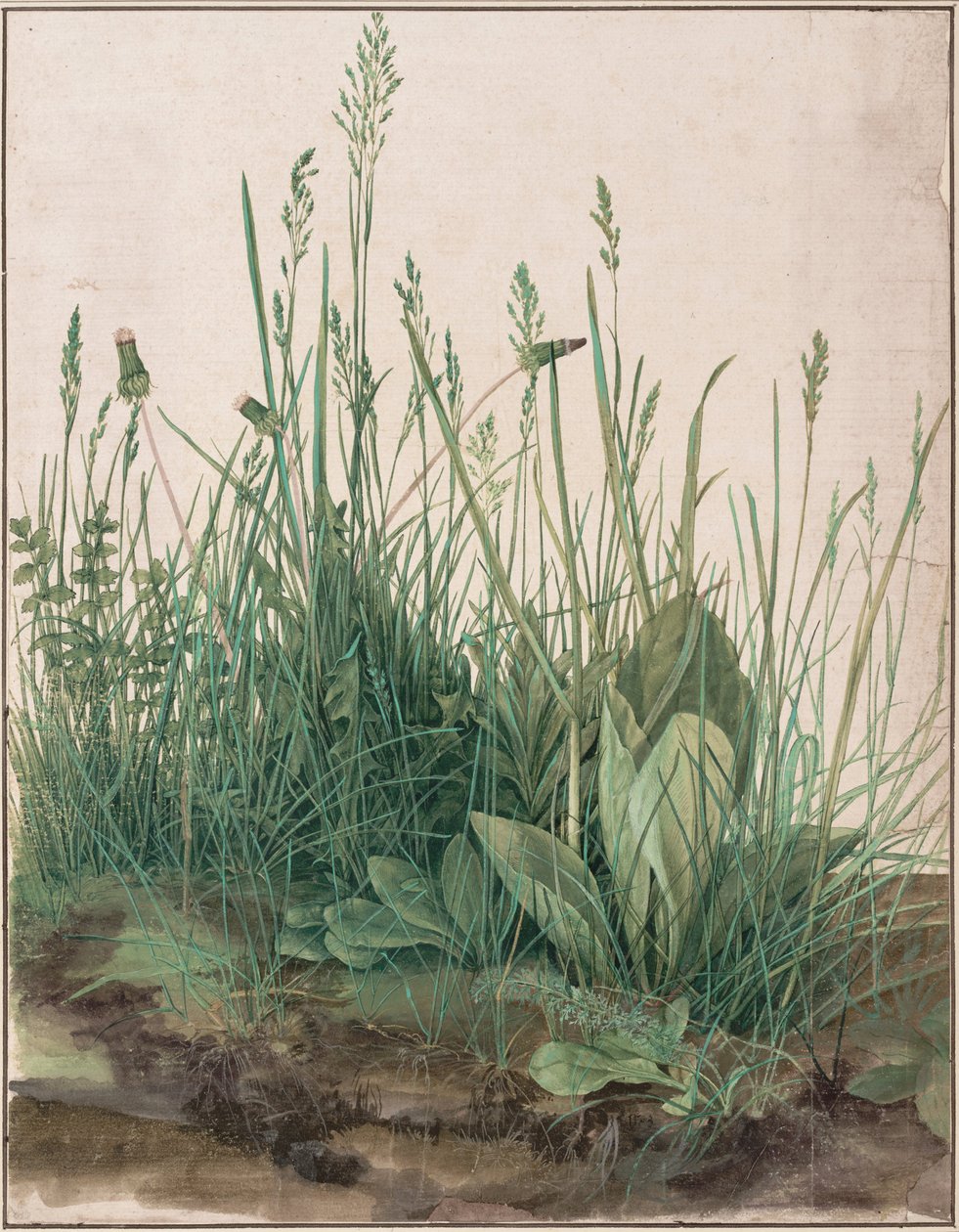 A nagy gyepdarab, 1503 alkotó: Albrecht Dürer