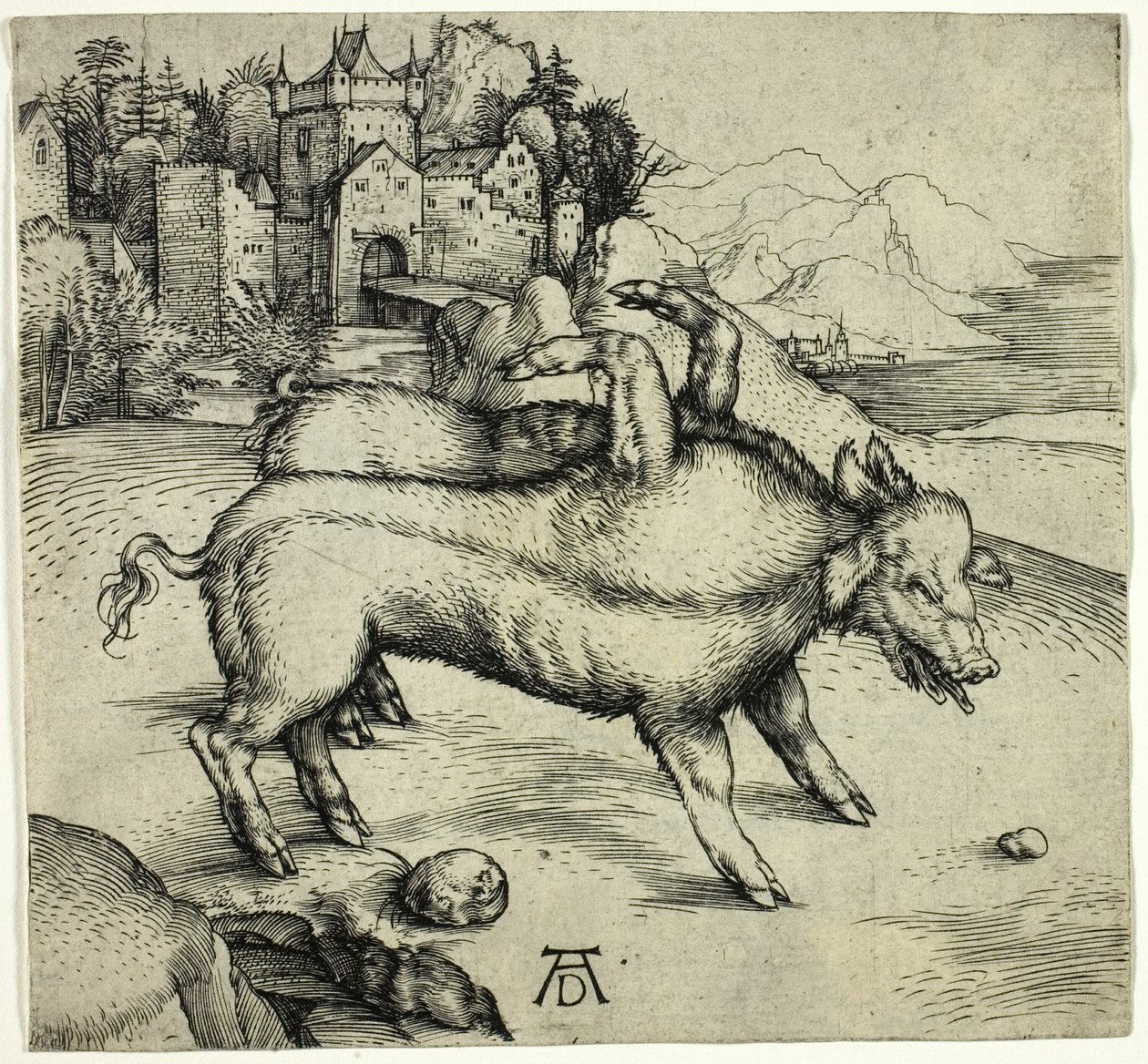 Landser szörnyű kocája alkotó: Albrecht Dürer