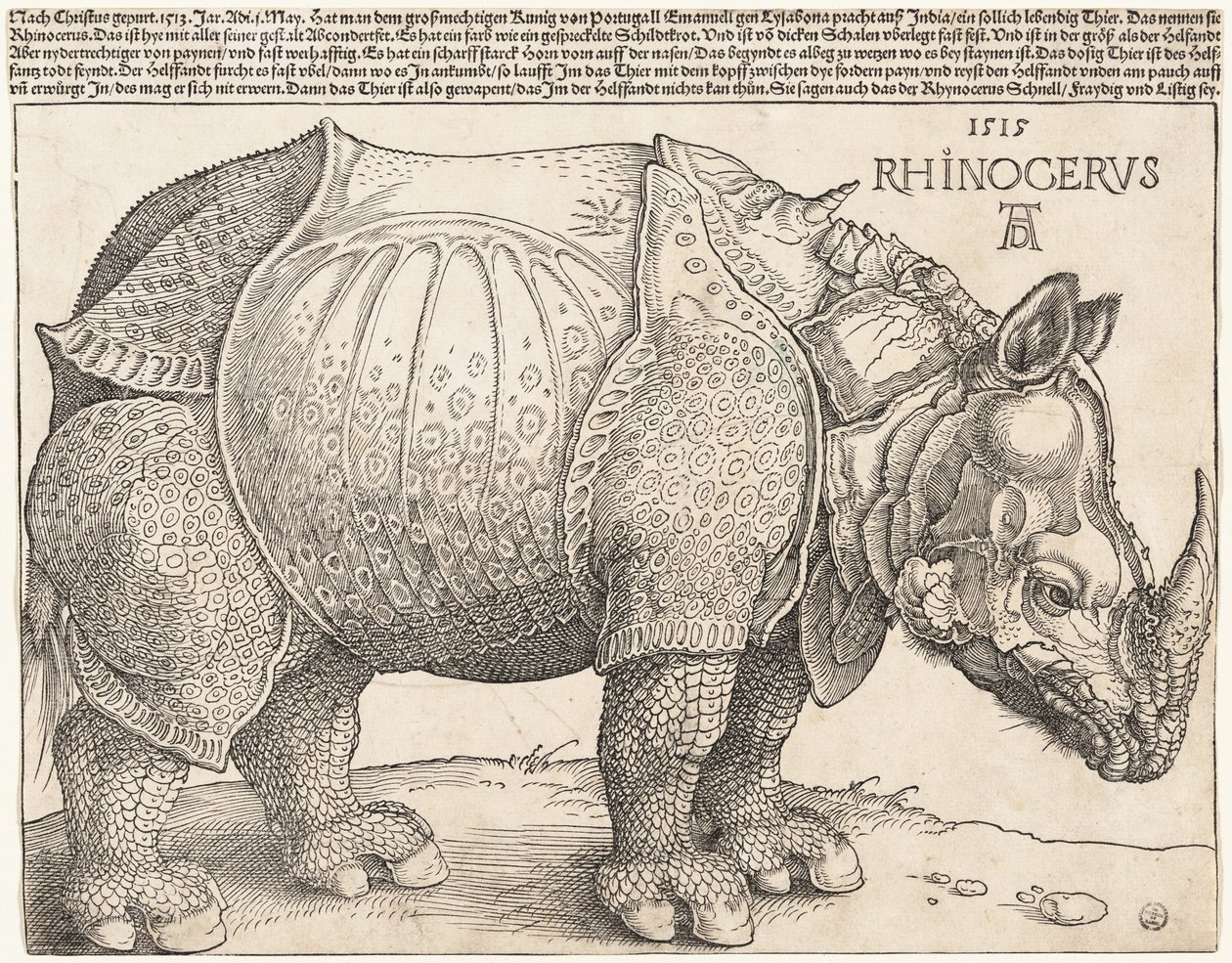 Az orrszarvú alkotó: Albrecht Dürer