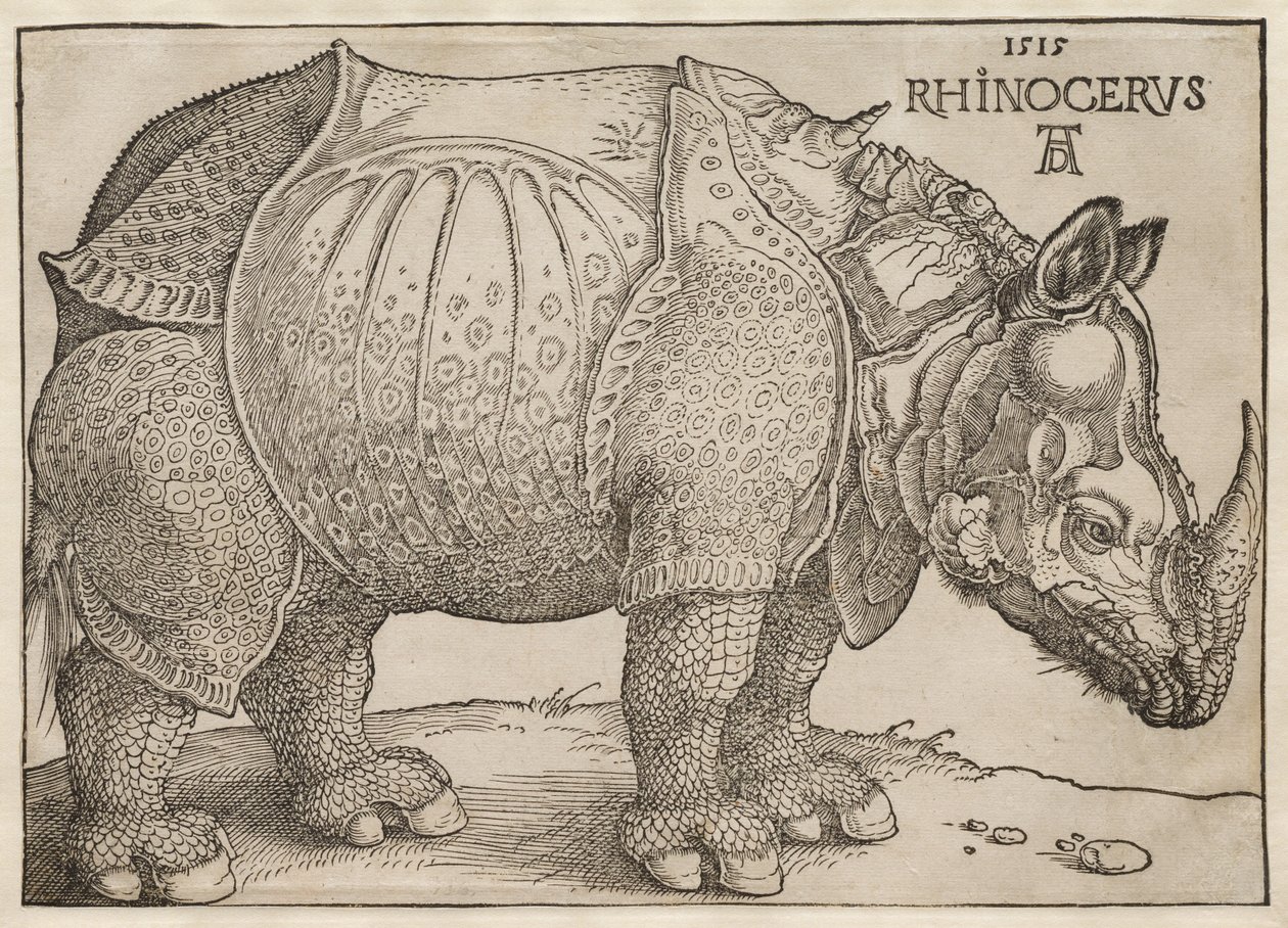 Az orrszarvú alkotó: Albrecht Dürer