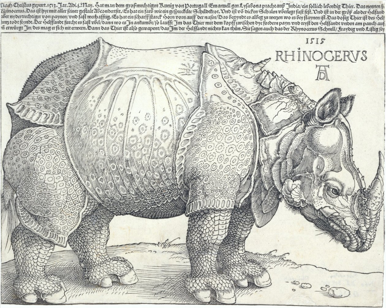 Az orrszarvú, 1515., 1515. alkotó: Albrecht Dürer