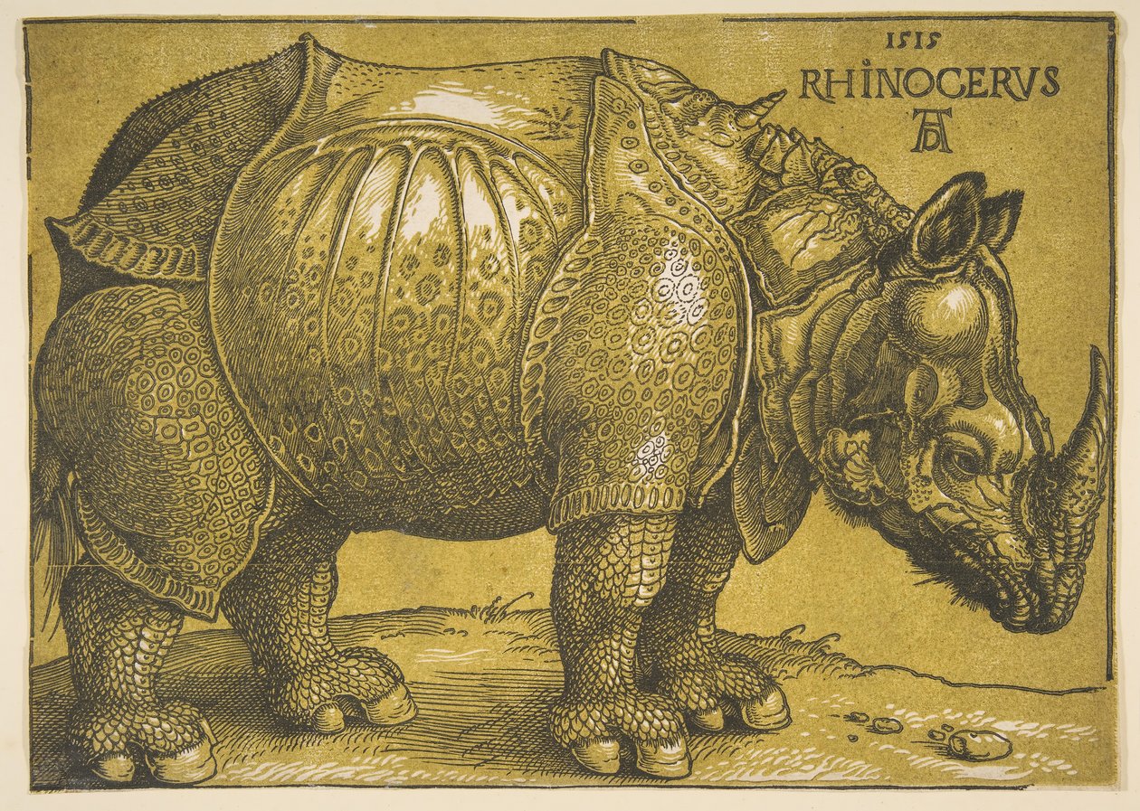 Az orrszarvú, 1620 után. alkotó: Albrecht Dürer