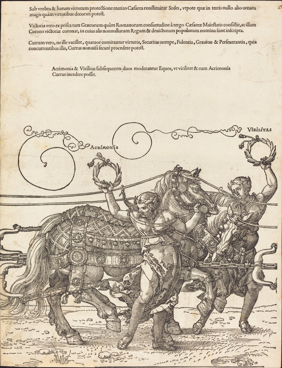 Maximilian I diadalszekere (A nagy diadalkocsi) [8/6. tábla] alkotó: Albrecht Dürer